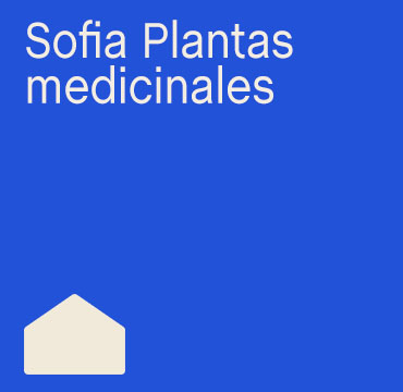 Sofía Plantas medicinales